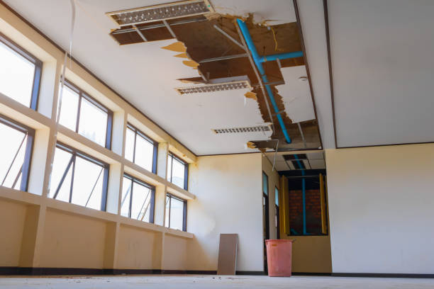  Lindale, TX Water damage restoration Pros