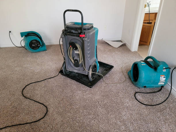 Best Basement water damage restoration  in Lindale, TX