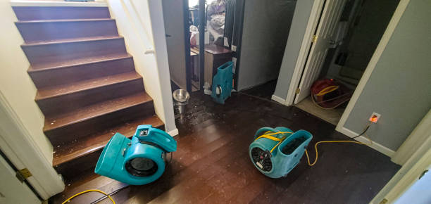 Best Water damage contractors near me  in Lindale, TX