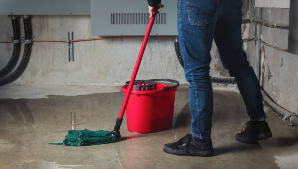 Best Water damage restoration experts  in Lindale, TX