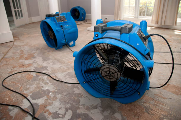 Best Flood damage cleanup  in Lindale, TX