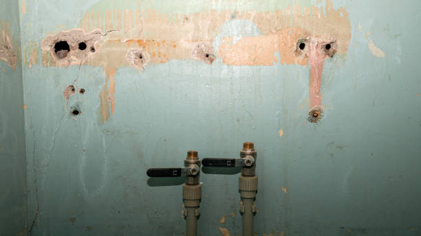 Best Residential water damage restoration  in Lindale, TX